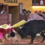 El torero Alberto Ortega recibe cornada en una corrida en Tlaxcala