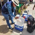 Pescados y mariscos están desde hoy bajo la lupa