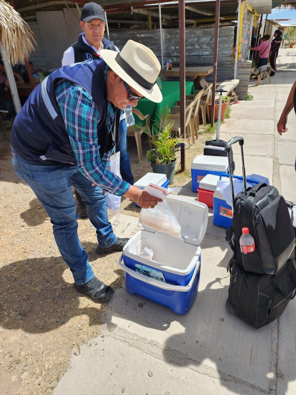 Pescados y mariscos están desde hoy bajo la lupa