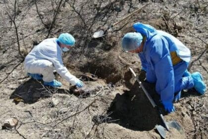 Localizan fosa clandestina en Baja California Sur con 113 restos
