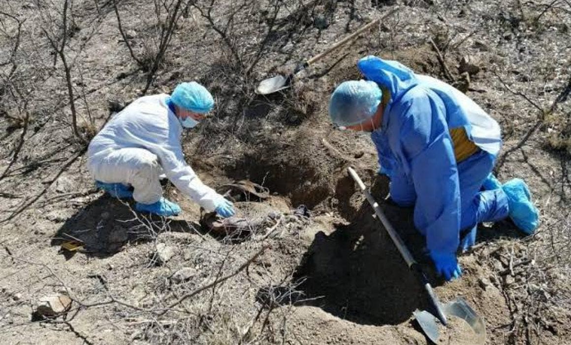 Localizan fosa clandestina en Baja California Sur con 113 restos