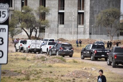 WhatsApp Image 2024 02 01 at 3.40.43 PM