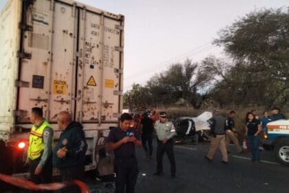 WhatsApp Image 2024 02 03 at 9.30.08 PM