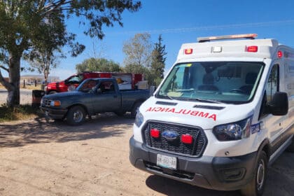 WhatsApp Image 2024 02 10 at 4.28.17 PM