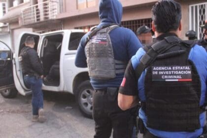 WhatsApp Image 2024 02 13 at 1.14.30 PM