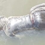 WhatsApp Image 2024 02 21 at 1.07.41 PM