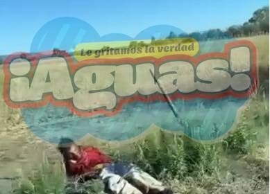 WhatsApp Image 2024 02 22 at 8.24.53 AM