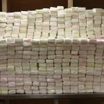 Decomisan cargamento de cocaína valorado en 4,4 millones de dólares