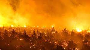 Varias víctimas en múltiples incendios simultáneos registrados en el centro de Chile