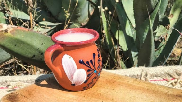 Hidalgo celebra el Día Nacional del Pulque