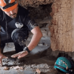 Derrames de cemento en el Tren Maya, por prisa de entregar obra
