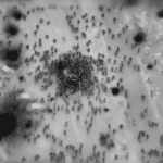 Un centenar de muertos en caótico reparto de ayuda en Gaza, en el que Israel abrió fuego