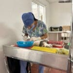 Lanza Municipio nueva campaña de esterilización gratuita