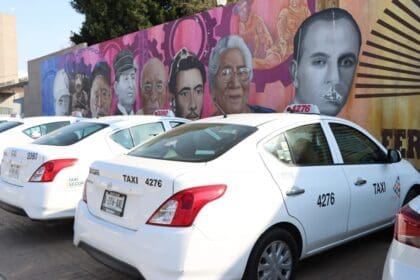 430045486 810308517799368 2326251547874296760 n