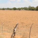 El campo es el que más sufre por la sequía