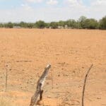 El campo es el que más sufre por la sequía