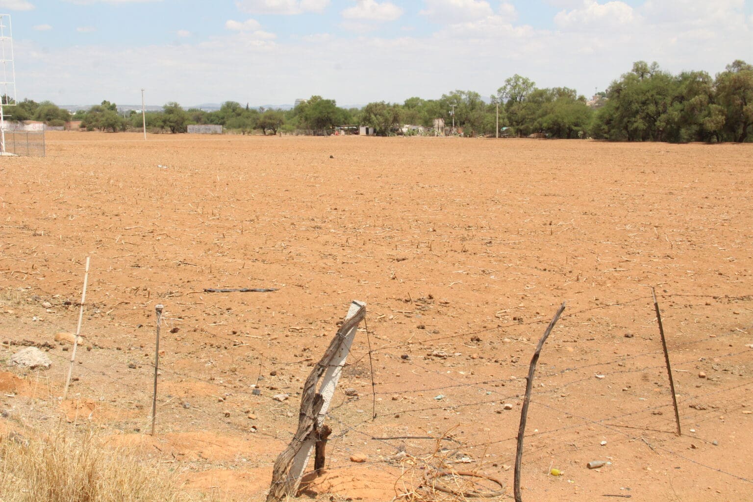 El campo es el que más sufre por la sequía
