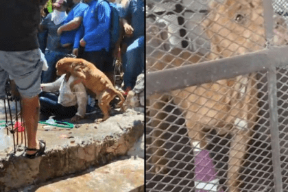 Captura de pantalla 2024 03 29 164325