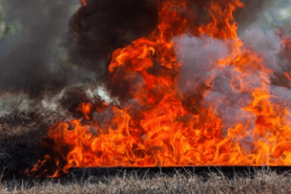 Captura de pantalla 2024 03 31 085508