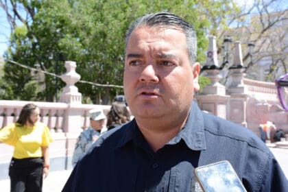 Llama PROFEPA a vacunar felinos por alerta nacional de caso de rabia