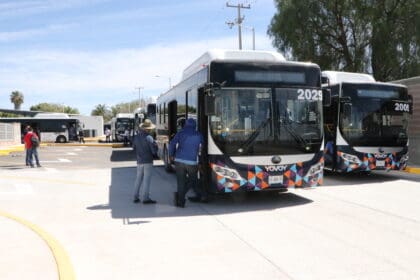 Crecen daños económicos a Línea Express