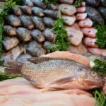 Pescados y mariscos bajo la lupa sanitaria