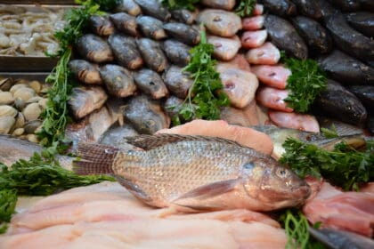 Pescados y mariscos bajo la lupa sanitaria