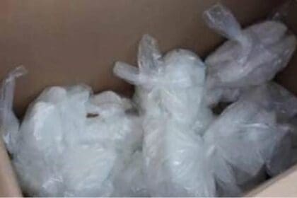 WhatsApp Image 2024 03 08 at 12.17.54 PM