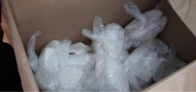 WhatsApp Image 2024 03 08 at 12.17.54 PM