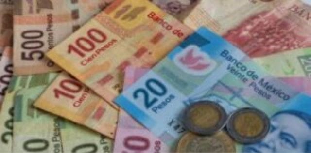 WhatsApp Image 2024 03 08 at 12.17.55 PM