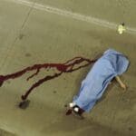 WhatsApp Image 2024 03 09 at 9.24.09 AM