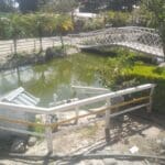 Tragedia familiar en el rancho La Teresa: Una madre y sus dos hijas murieron electrocutadas