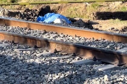 WhatsApp Image 2024 03 15 at 9.18.09 AM