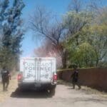 Hombre murió en su casa en la comunidad La Providencia y sus perros le devoraron el cuerpo