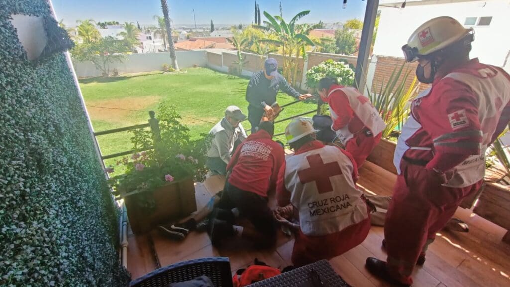 WhatsApp Image 2024 03 21 at 2.35.07 PM