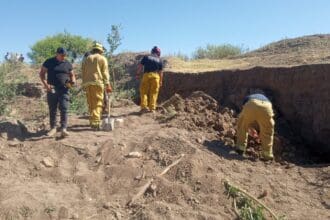 WhatsApp Image 2024 03 22 at 1.56.20 PM