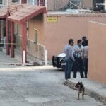 WhatsApp Image 2024 03 30 at 9.49.58 AM 1