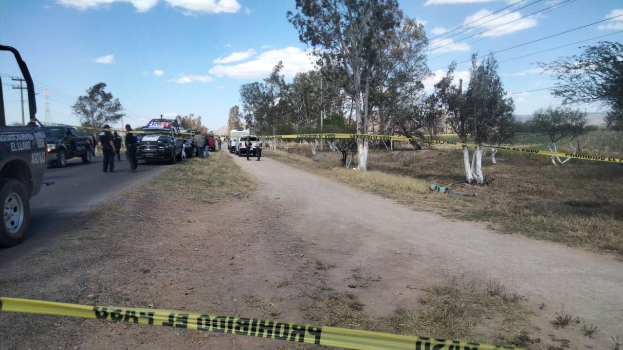 ad29ecd5 b177 4a64 9e4f 70d2479bad0e