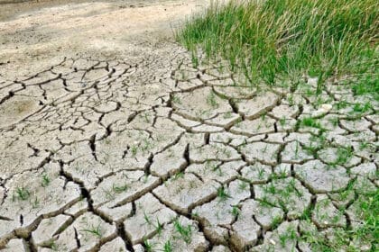 Tenemos el cuarto lugar nacional en desertificación del suelo