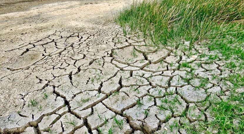 Tenemos el cuarto lugar nacional en desertificación del suelo