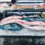 fish for sale at fish market 2023 11 27 05 03 58 utc