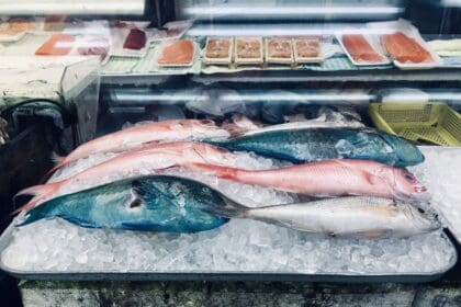 fish for sale at fish market 2023 11 27 05 03 58 utc