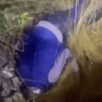 Matan a precandidato del PRI en Chiapas