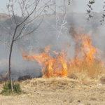 Sequía y calor disparan incendios