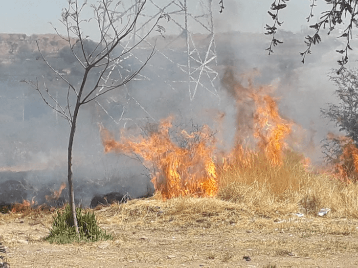 Sequía y calor disparan incendios