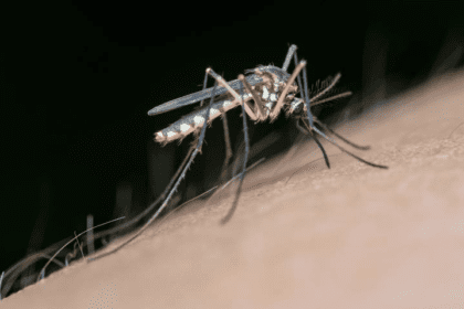 Uruguay supera los 200 casos de dengue e investiga otro posible fallecimiento