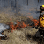Continúan 113 incendios forestales activos en 20 estados: Conafor