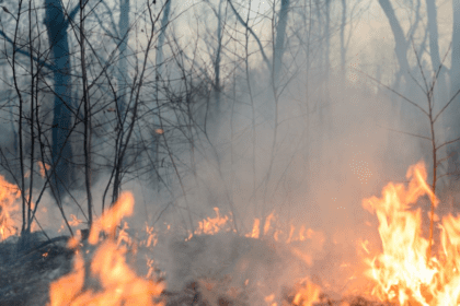 Diputadas proponen crear fondo para combatir incendios en Oaxaca