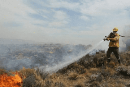 Solicitan a Semarnat informe sobre acciones para combatir incendios