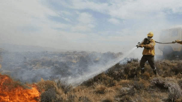 Solicitan a Semarnat informe sobre acciones para combatir incendios
